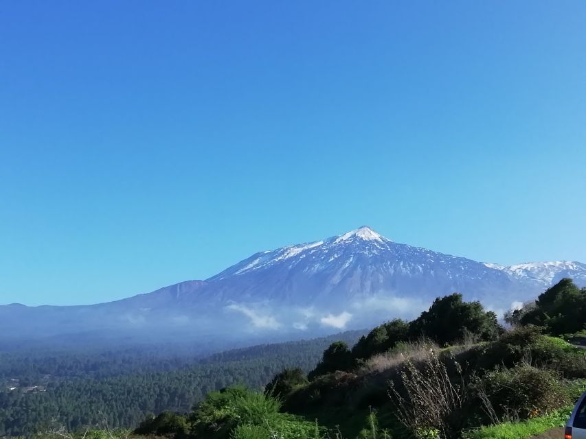 Tenerife: Guided Horseback Riding Tour to the Lomo Forest - Entering Finca Estrella, and the most important timing rule