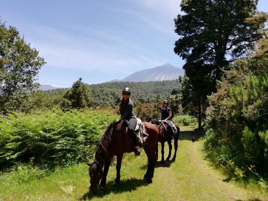 Tenerife: Guided Horseback Riding Tour to the Lomo Forest - Dogs at the finca, and the pet rule you should not ignore