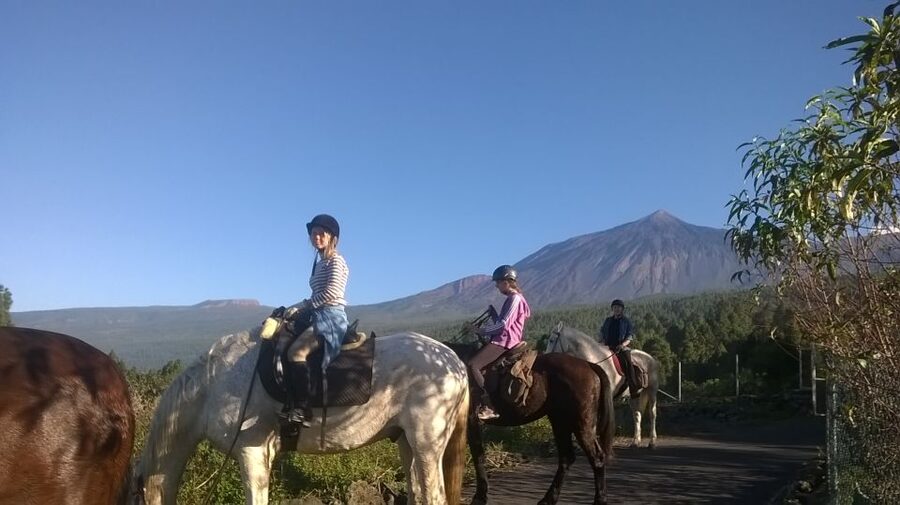 Tenerife: Guided Horseback Riding Tour to the Lomo Forest - What to bring, what to wear, and what to leave in the car