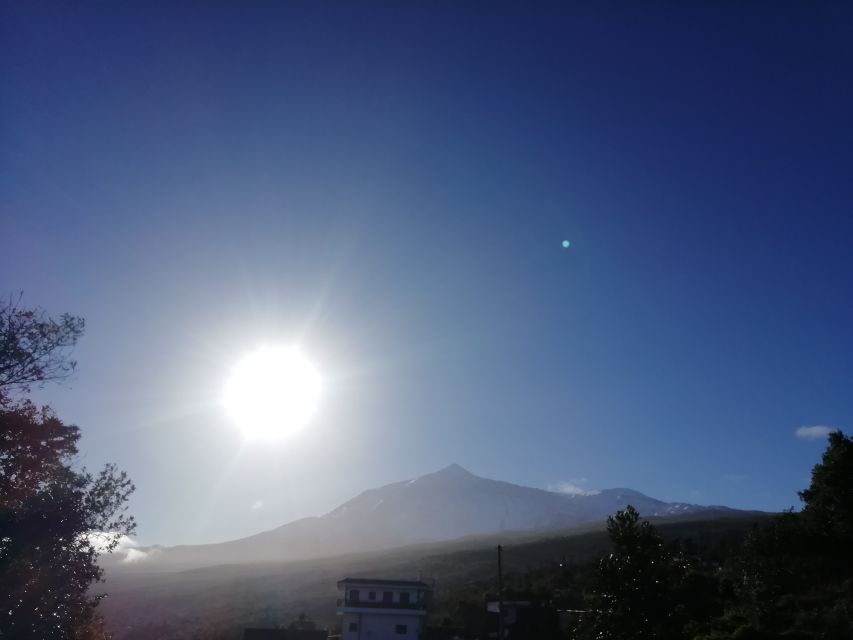 Tenerife: Guided Horseback Riding Tour to the Lomo Forest - Price and value: is $57 fair for 1.5 hours?