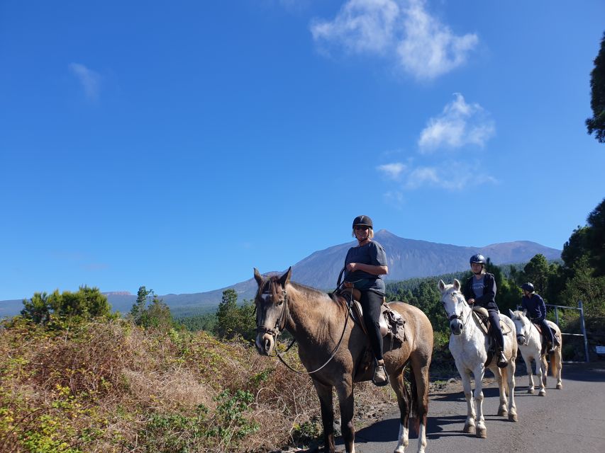 Tenerife: Guided Horseback Riding Tour to the Lomo Forest - From helmets to horse care, what happens before you ride