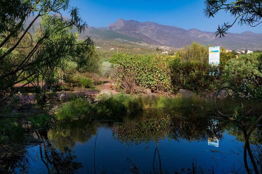 Tenerife: Guided tour at Pirámides de Güímar - The modern theme: An Ocean of Plastic exhibition