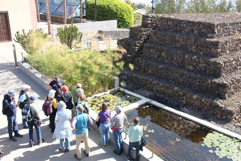 Tenerife: Guided tour at Pirámides de Güímar - Price at around $26: Is it good value?