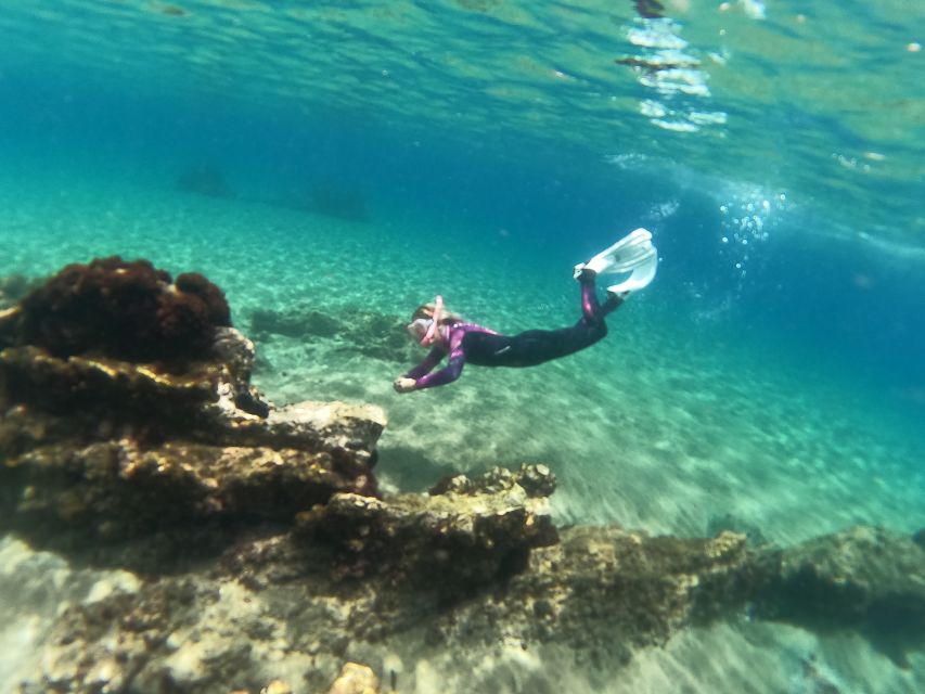 Tenerife: Half-Day Snorkeling Tour - Abades Bay in Tenerife: why this spot works for real snorkeling