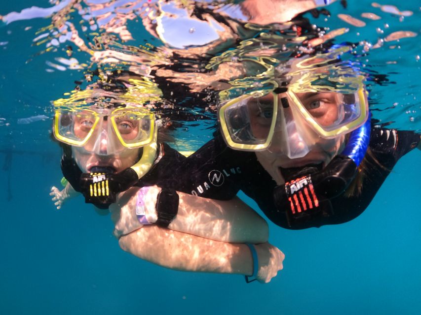 Tenerife: Half-Day Snorkeling Tour - The main 1-hour guided snorkeling session: spotting sea life the smart way