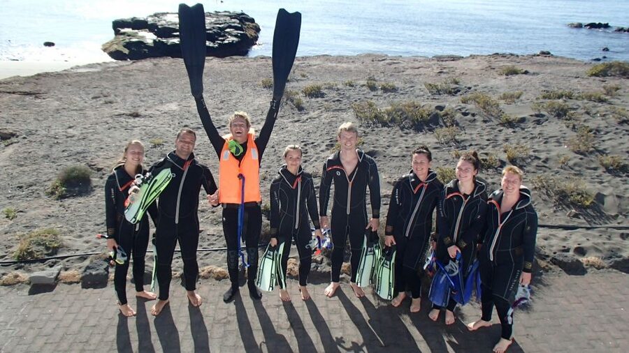 Tenerife: Half-Day Snorkeling Tour - Price and value: what $69 buys you in real-world snorkeling