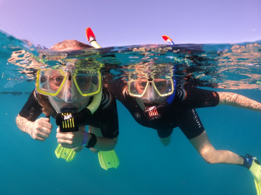 Tenerife: Half-Day Snorkeling Tour - The 30-minute safety briefing: where beginners get set up to relax