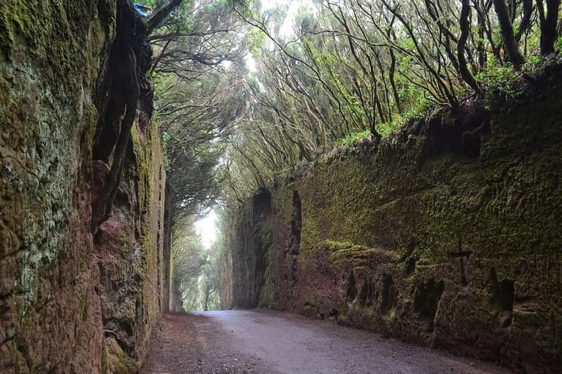 Tenerife Hidden Gem: Anaga Hike, Bajamar Pools & Cocktail - Tips to make the 8 hours feel easy, not exhausting