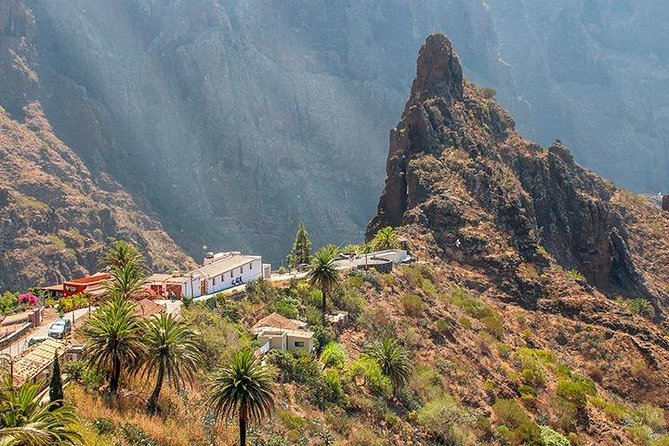 Tenerife Highlights Full-Day Tour - Icod Los Vinos and the Drago Tree, plus Canarian lunch on your own