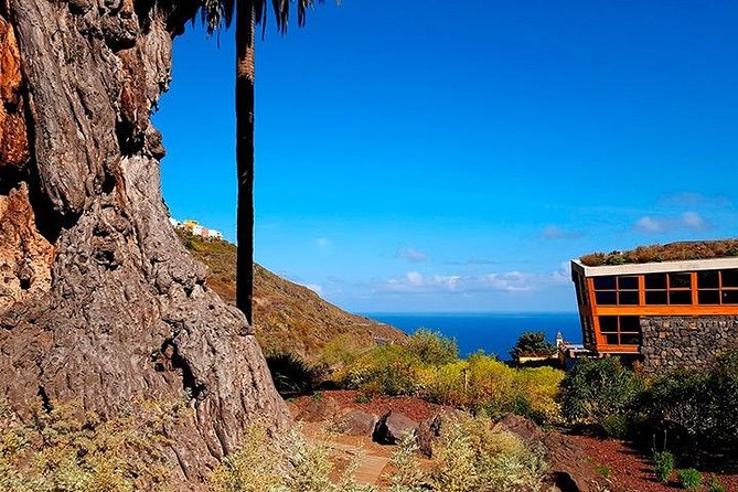 Tenerife Highlights Full-Day Tour - Garachico on the north coast, 1706 and the black-sand beach