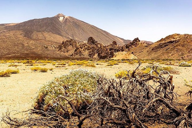 Tenerife Highlights Full-Day Tour - Masca Valley and the ridge-top hamlet with La Gomera views