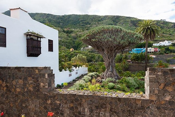 Tenerife Highlights Full-Day Tour - Price and value: what is included, what costs extra