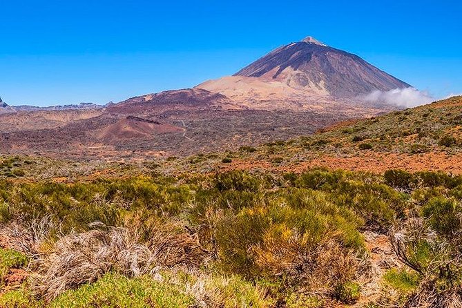 Tenerife Highlights Full-Day Tour - Morning at Teide National Park, and why you should dress for cold