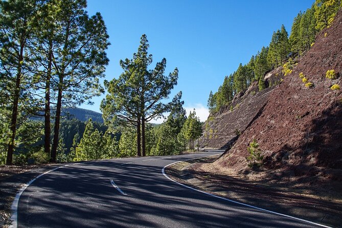 Tenerife Highlights VIP Custom Private Tour - photos included - Pricing for Up to 4: What $457.56 Buys on Tenerife