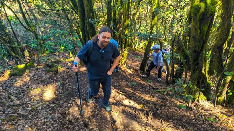 Tenerife: Hike Above Masca in Enchanted Forest with Pick-up - Pickup on the South Coast, and Why It Changes Everything