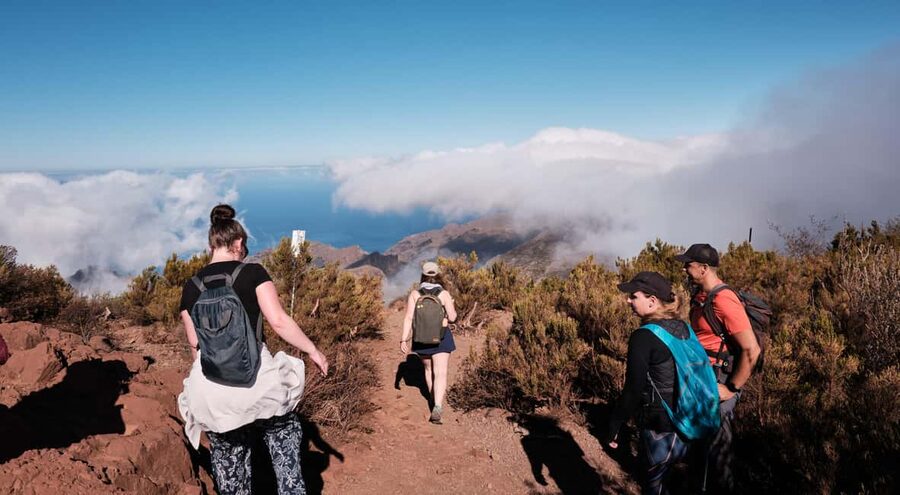 Tenerife: Hike Above Masca in Enchanted Forest with Pick-up - Pine Forest Leads to Volcanic Views of Teide, Masca, and Chinyero