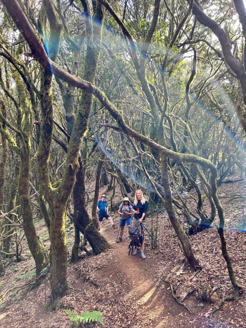 Tenerife: Hike Above Masca in Enchanted Forest with Pick-up - Two Hours Through Teno Rural Park: Guided Walking and Photo Stops