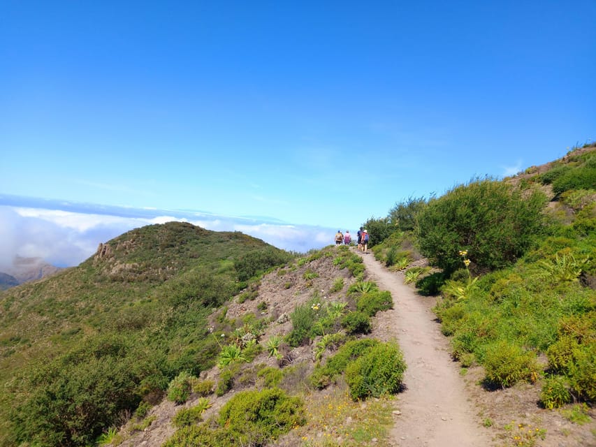 Tenerife: Hiking Above the Village of Masca - Masca from above: why this hike feels different