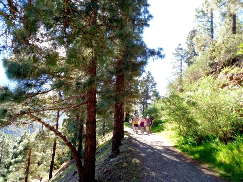 Tenerife: Hiking Above the Village of Masca - Price and value: is $73 worth it?