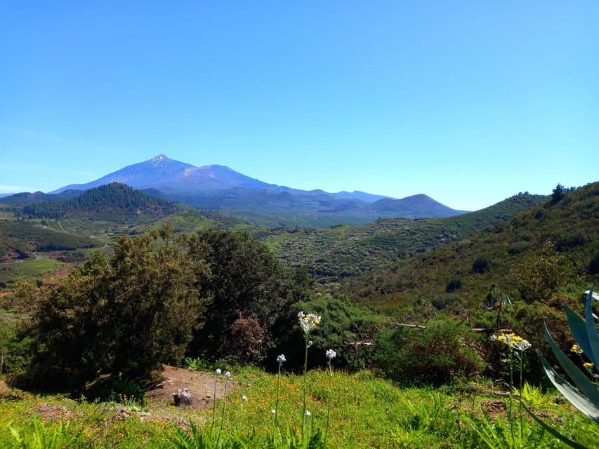 Tenerife: Hiking Above the Village of Masca - Getting there smoothly: transfers, pickup, and the van