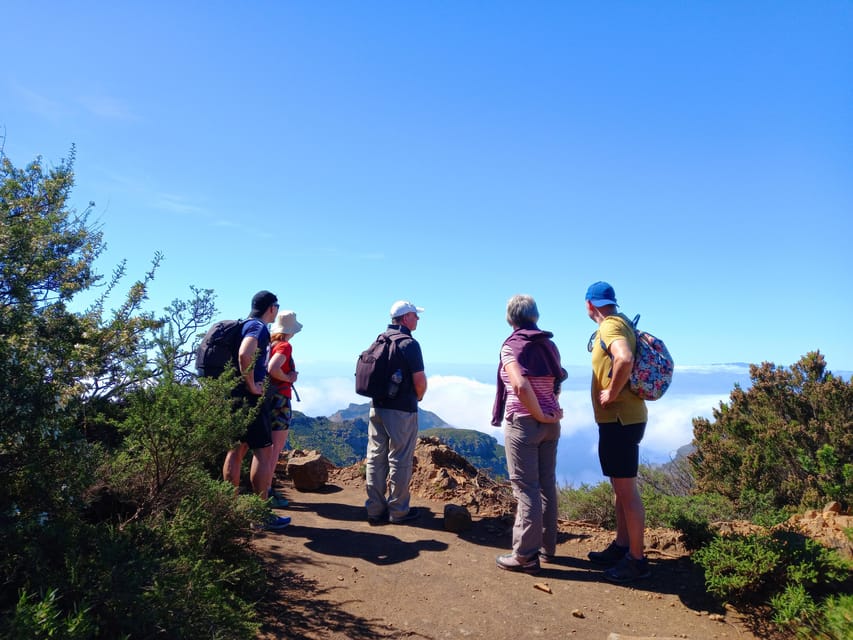 Tenerife: Hiking Above the Village of Masca - The hike route in plain terms: 12 km, moderate effort