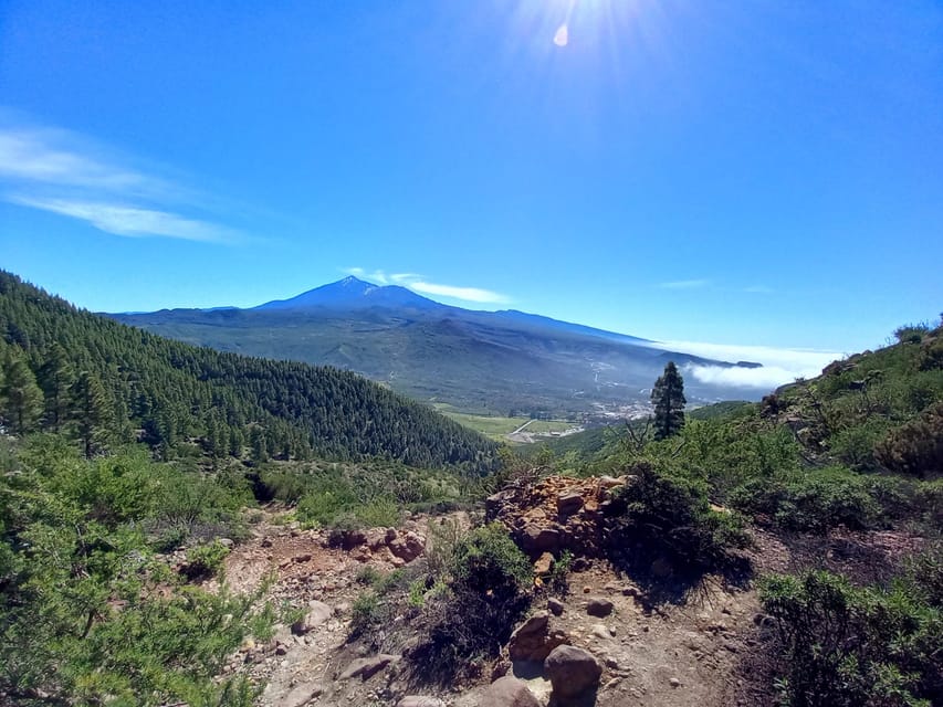 Tenerife: Hiking Above the Village of Masca - Comfort and safety: who should and should not go