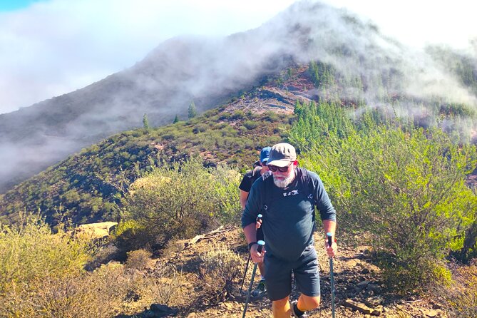 Tenerife: Hiking through Enchanted forest Above Masca with PICKUP - Value Check: Is $107.63 a Smart Deal?