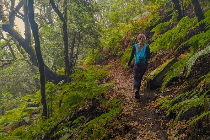 Tenerife: Hiking through Enchanted forest Above Masca with PICKUP - What Stops Really Mean for Your Experience