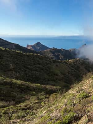 Tenerife: Hiking through Teno and the hamlet of Masca - Guide quality: plants, geography, history, and a pace that works