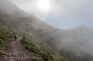 Tenerife: Hiking through Teno and the hamlet of Masca - Who should book this hike, and who should skip it