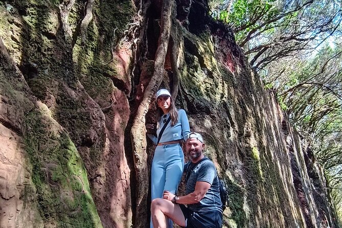 Tenerife: Hiking Tour in Anaga Mountains and Enchanted Forest - Key highlights you’ll actually feel during the hike