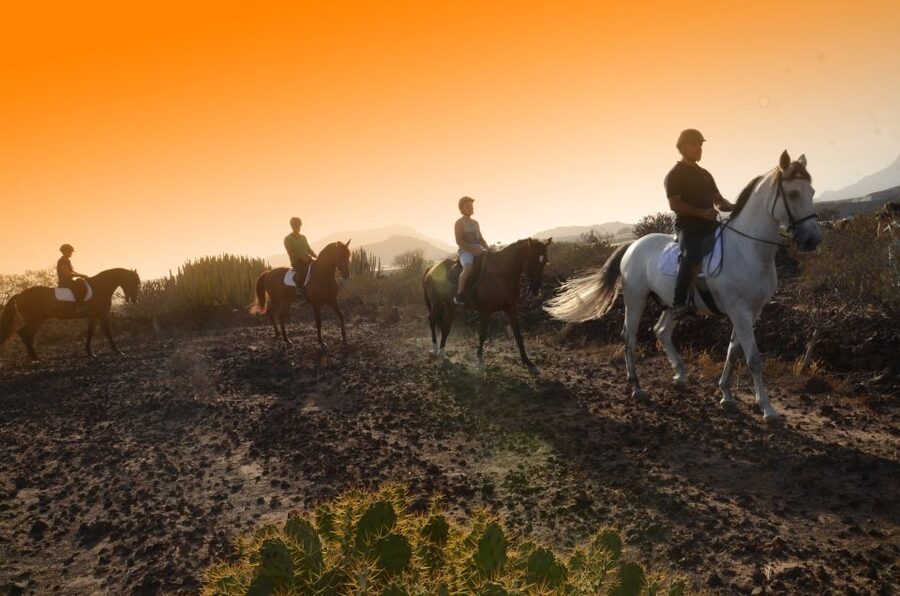 Tenerife: Horseback Ride with Instructor - Key highlights worth planning for