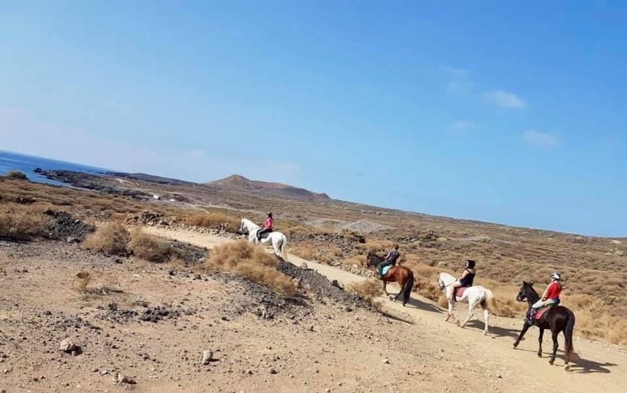 Tenerife: Horseback Ride with Instructor - Where it starts: Xanadu Riding Center in Arona
