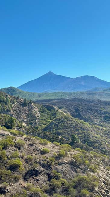 Tenerife: Icod de los Vino, Garachico & Guachinche Tour - Key things that make this tour worth your time