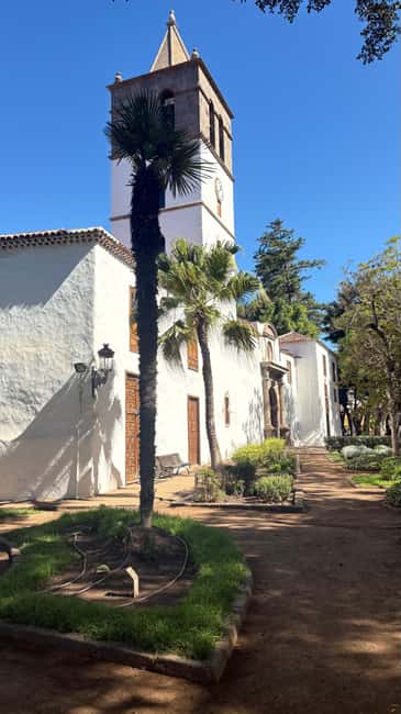 Tenerife: Icod de los Vino, Garachico & Guachinche Tour - The guachinche lunch: your payoff meal in vino del país style