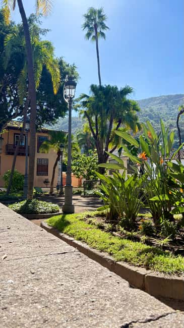 Tenerife: Icod de los Vino, Garachico & Guachinche Tour - Price and value: what $85 buys you (and why it can be fair)