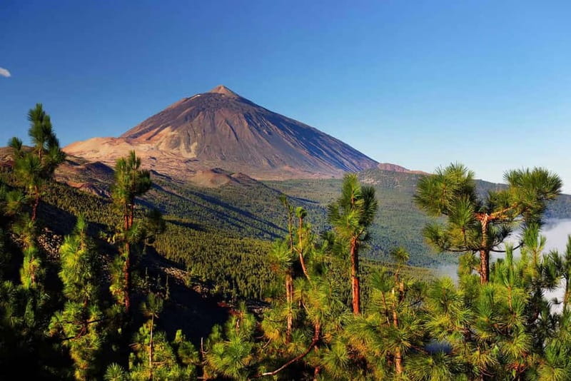 Tenerife: Jet Ski Tour with Optional Quad Trip - The 2-Hour Option: Snorkel and Swim Time in Crystal Water