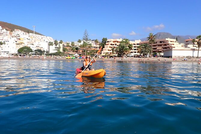 Tenerife: Kayak and snorkel with marine life safari - Dolphins and Turtles: How This Hunt Really Works
