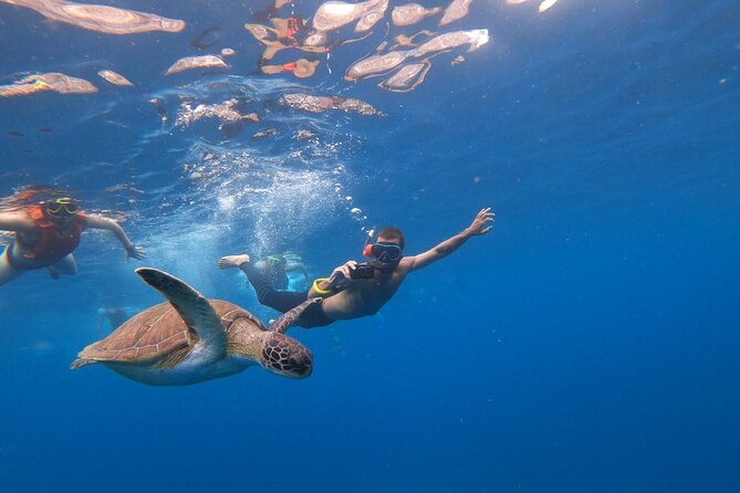 Tenerife: Kayak and snorkel with marine life safari - Snacks, Drinks, and the Photo Question