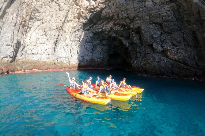 Tenerife: Kayak and snorkel with marine life safari - Timing on the Water: 3 Hours That Can Flex