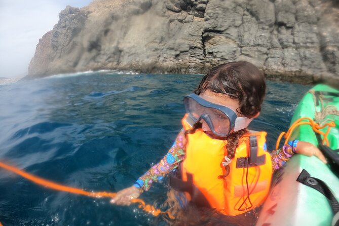Tenerife: Kayak and snorkel with marine life safari - Weather Rules You Should Actually Care About