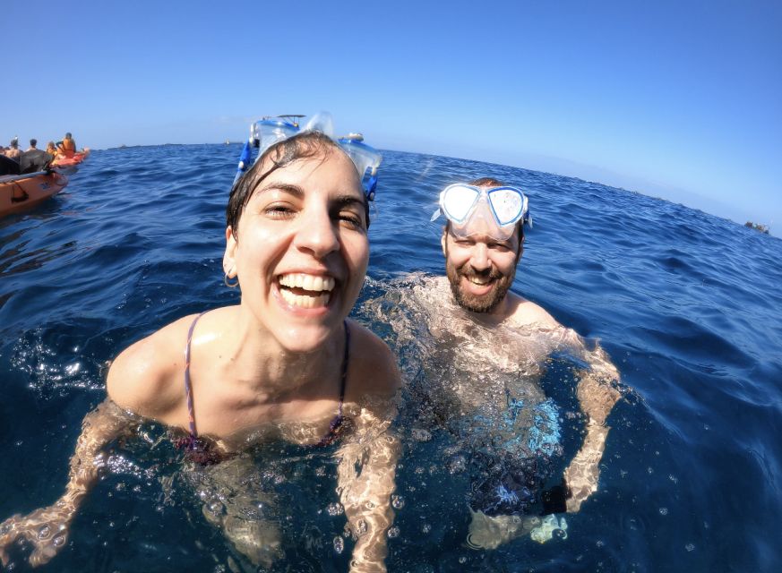 Tenerife: Kayak Safari and Snorkel in a Marine Reserve - Guide style matters, and it shows in safety and wildlife respect
