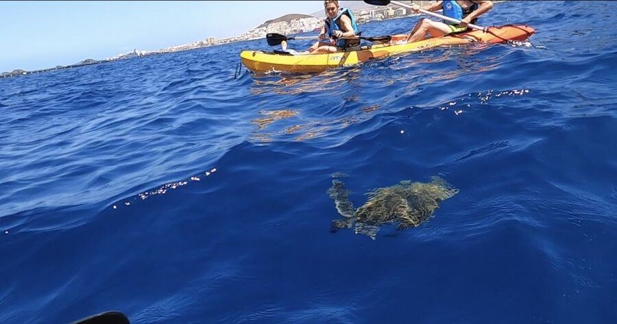 Tenerife: Kayak Safari and Snorkel in a Marine Reserve - The sea cave and sunset relaxation stop: where the tour turns scenic