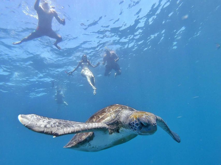 Tenerife: Kayak Safari and Snorkel in a Marine Reserve - Price value at around $29 for 150 to 210 minutes on the water