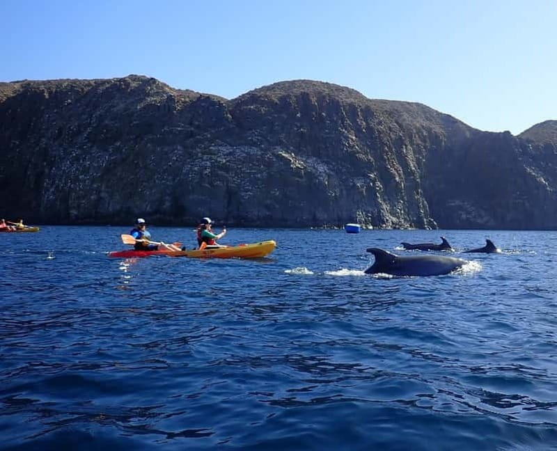 Tenerife: Kayak Sea Safari with Snorkel and Snacks - The first hour: Playa Los Cristianos and the kayak rhythm