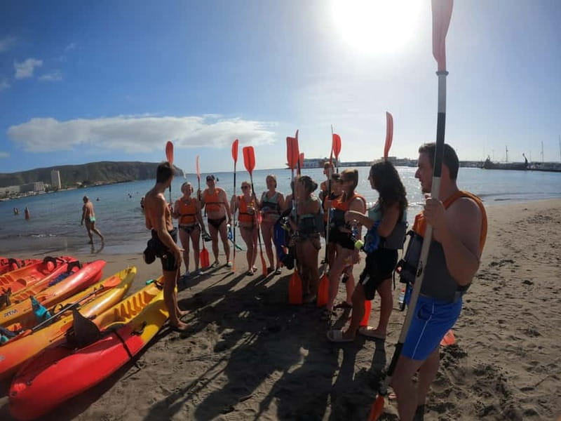 Tenerife: Kayak Sea Safari with Snorkel and Snacks - Wildlife viewing that stays respectful (and why that matters)