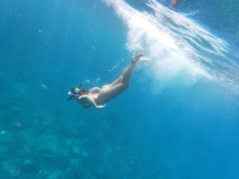 Tenerife: Kayak & Snorkel with Local Fauna, Photos Included - Photos, videos, and showers, the smart souvenir combo