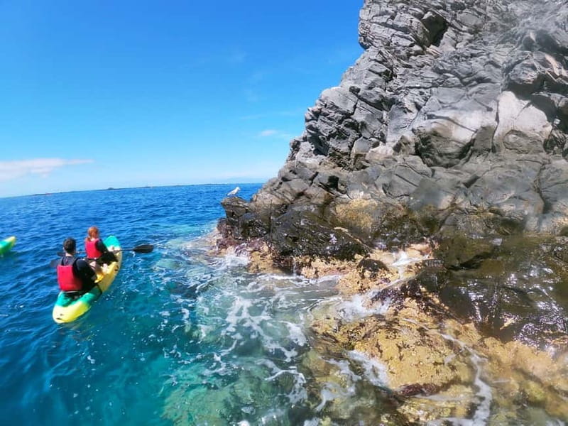 Tenerife: Kayak & Snorkel with Local Fauna, Photos Included - Price and value for a 3-hour kayak and snorkel tour