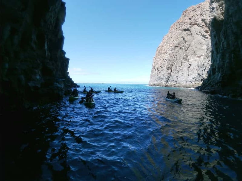 Tenerife: Kayak & Snorkel with Local Fauna, Photos Included - A gear setup and briefing that makes you feel safe fast