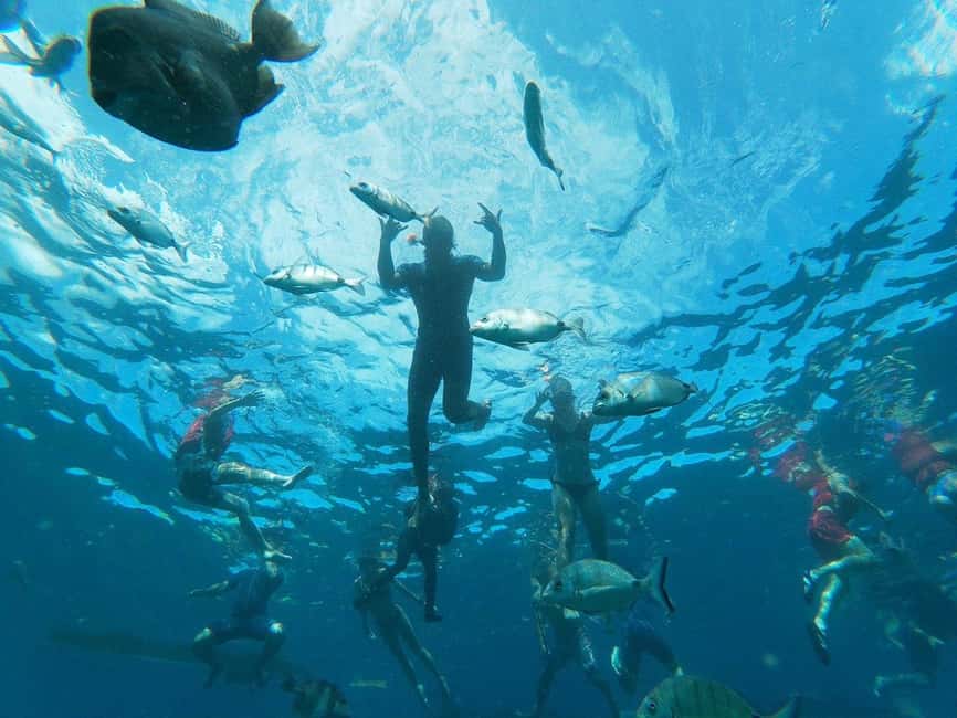 Tenerife: Kayak & Snorkeling, Marine Fauna Watching - La Arenita Meet-Up, Safety Briefing, and Getting Your Sea Legs